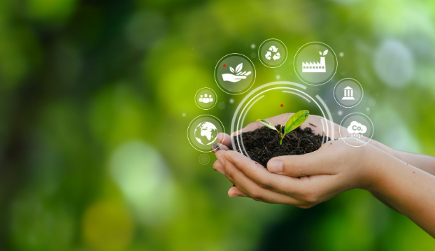 Integrating Social Responsibility Into Your Small Business